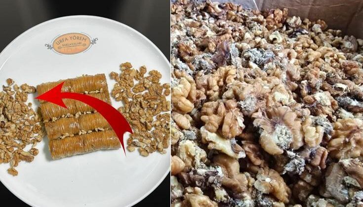 Ünlü baklavacının kurtlu ceviz skandalı büyüyor! Her sözleri ayrı olay